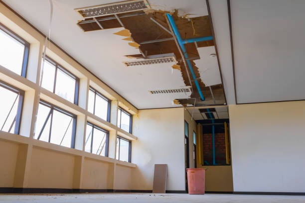 Best Residential water damage restoration  in Quail Creek, TX