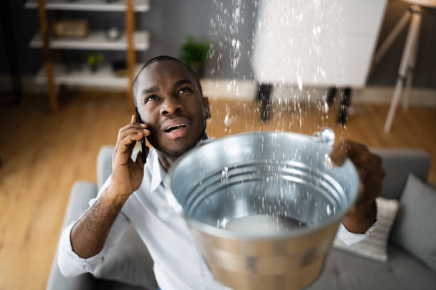 Best Basement water damage restoration  in Quail Creek, TX