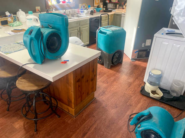 Best 24/7 water damage repair  in Quail Creek, TX