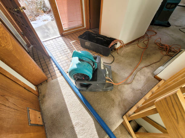  Quail Creek, TX Water damage restoration Pros