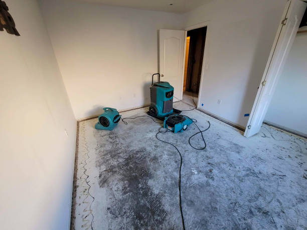 Best 24-hour water damage restoration  in Quail Creek, TX
