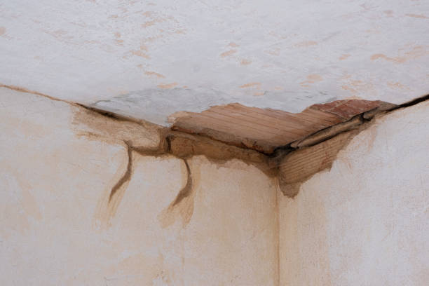 Best Water damage restoration experts  in Quail Creek, TX