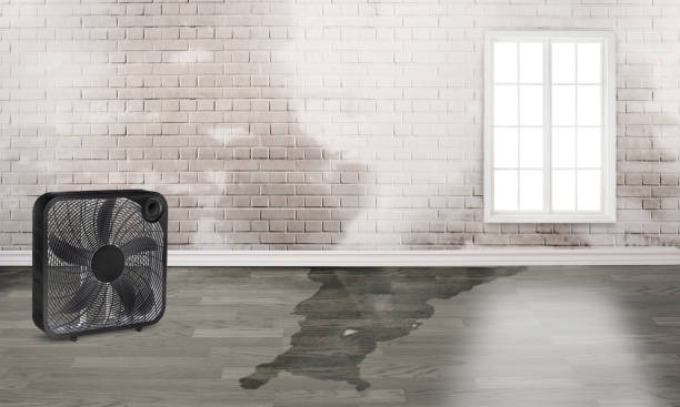 Best Water damage restoration cost  in Quail Creek, TX