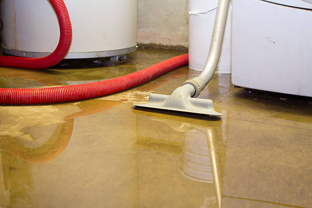 Best Local water damage restoration  in Quail Creek, TX