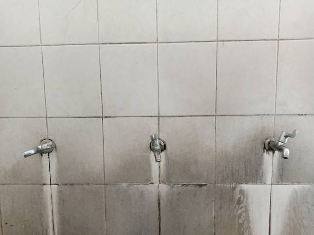 Best 24-hour water damage restoration  in Quail Creek, TX