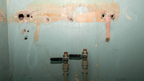 Best Water damage restoration near me  in Quail Creek, TX