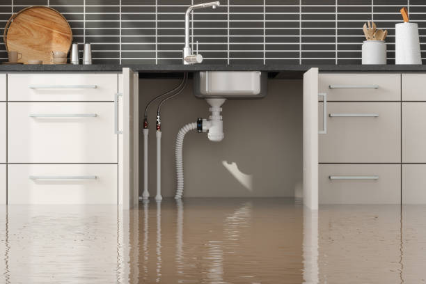Best Commercial water damage restoration  in Quail Creek, TX