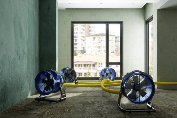 Best Water damage contractors near me  in Quail Creek, TX